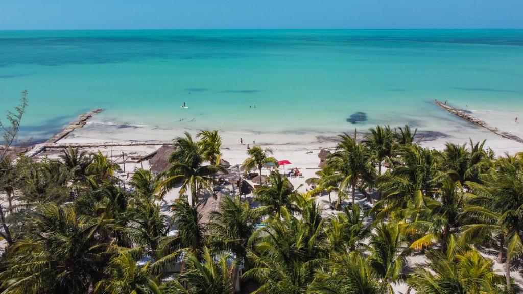 Zomay Beachfront Holbox