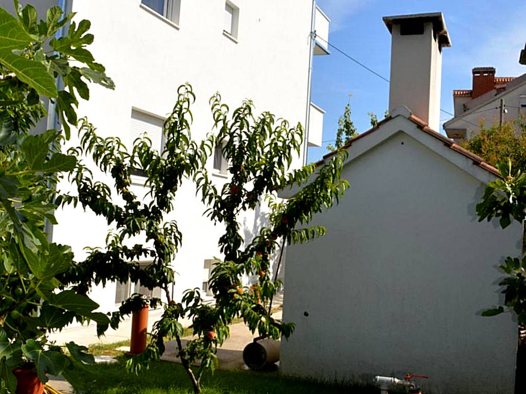 Apartments Luce - Dome