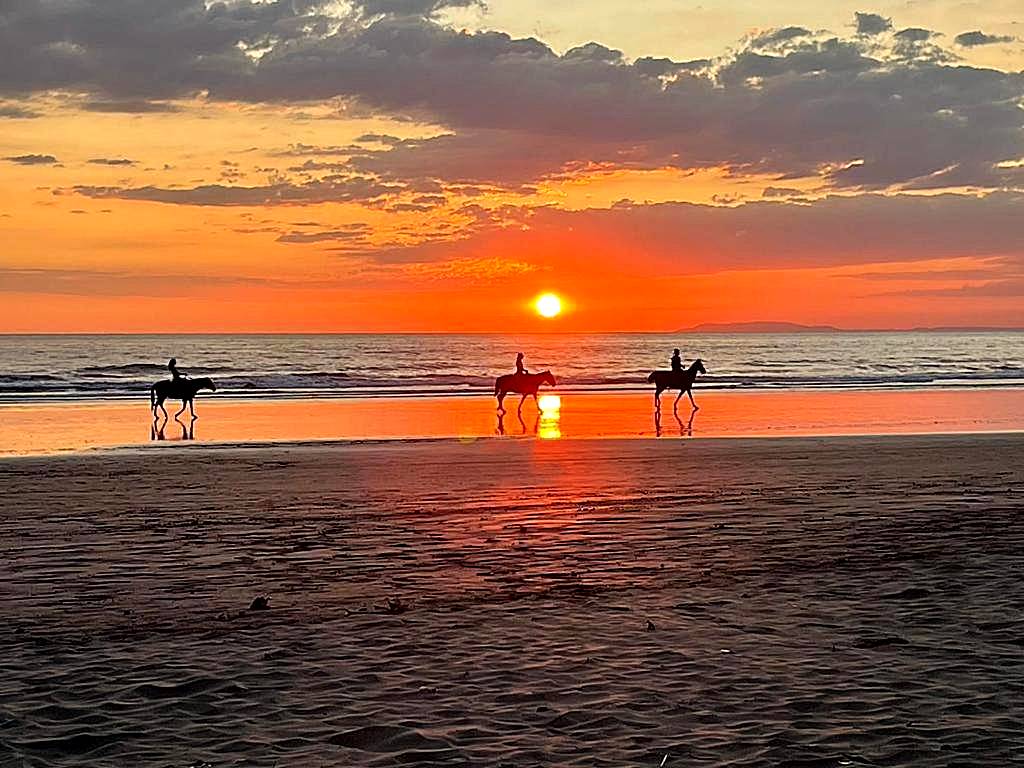 La Sirena Playa Jacó